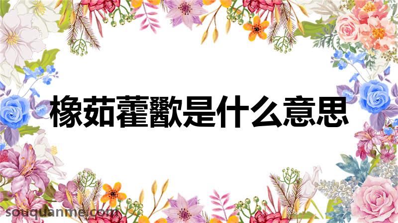 橡茹藿歠是什么意思 橡茹藿歠的拼音 橡茹藿歠的成语解释